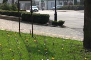image002