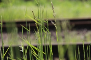 image011