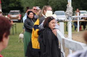image013