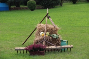 image003