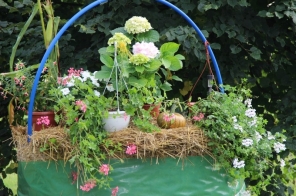 image006