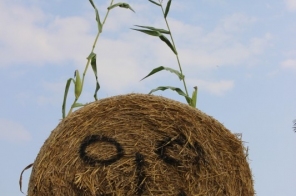 image008