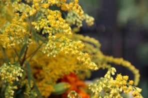 image010
