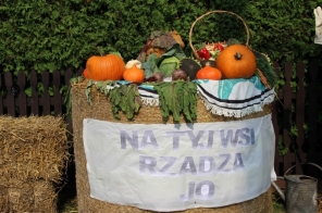 image016
