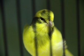 image014