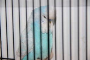 image015