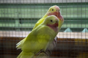 image016