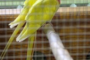image019