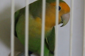 image020