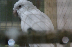 image021