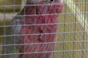 image022