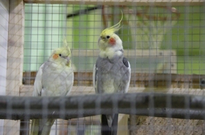 image023