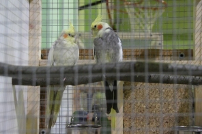 image024