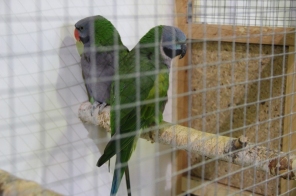 image026