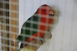 image028