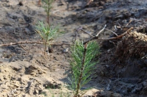 image015
