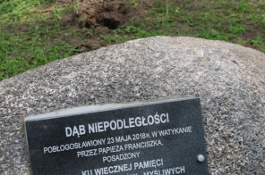 image011