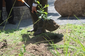 image029