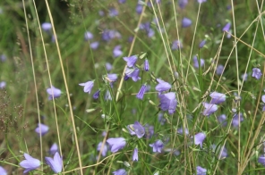 image050