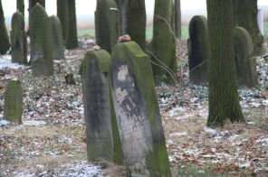 image002