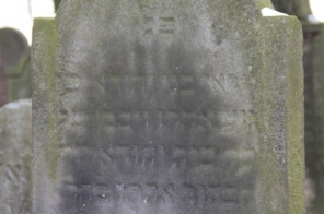 image008