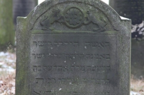 image009
