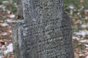 image010