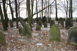 image011