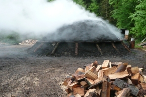 schwarzwald_hg03_meiler1