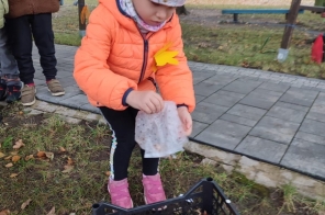 IMG-20231031-WA0016