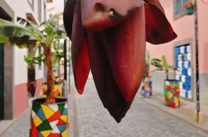 IMG20240422142525