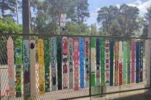 IMG-20240619-WA0007