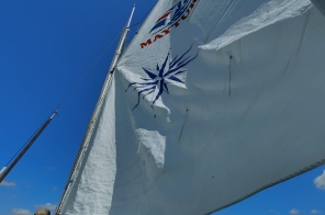 IMG20240730114534