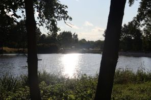 IMG_2292