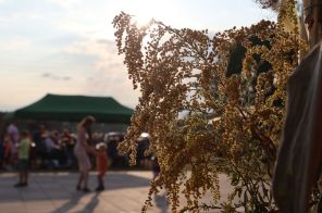IMG_3215