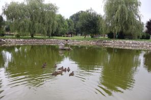 IMG_2243
