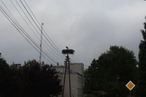 IMG_2256