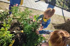 IMG-20241002-WA0008