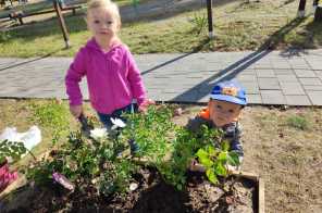 IMG-20241002-WA0013