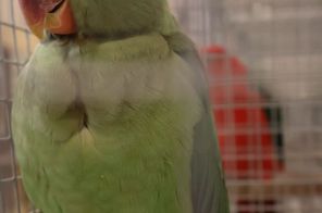 IMG_3943