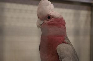 IMG_3955