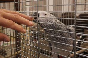 IMG_3979