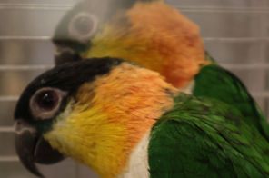 IMG_3989