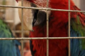 IMG_4122