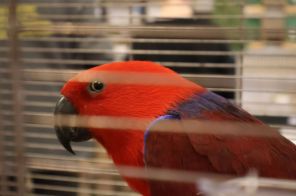 IMG_4124
