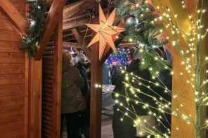 IMG-20241212-WA0019