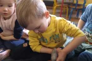IMG-20250330-WA0040