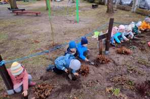 IMG-20250330-WA0050